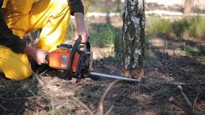 Best Soil Testing and Treatment  in Springfield, GA